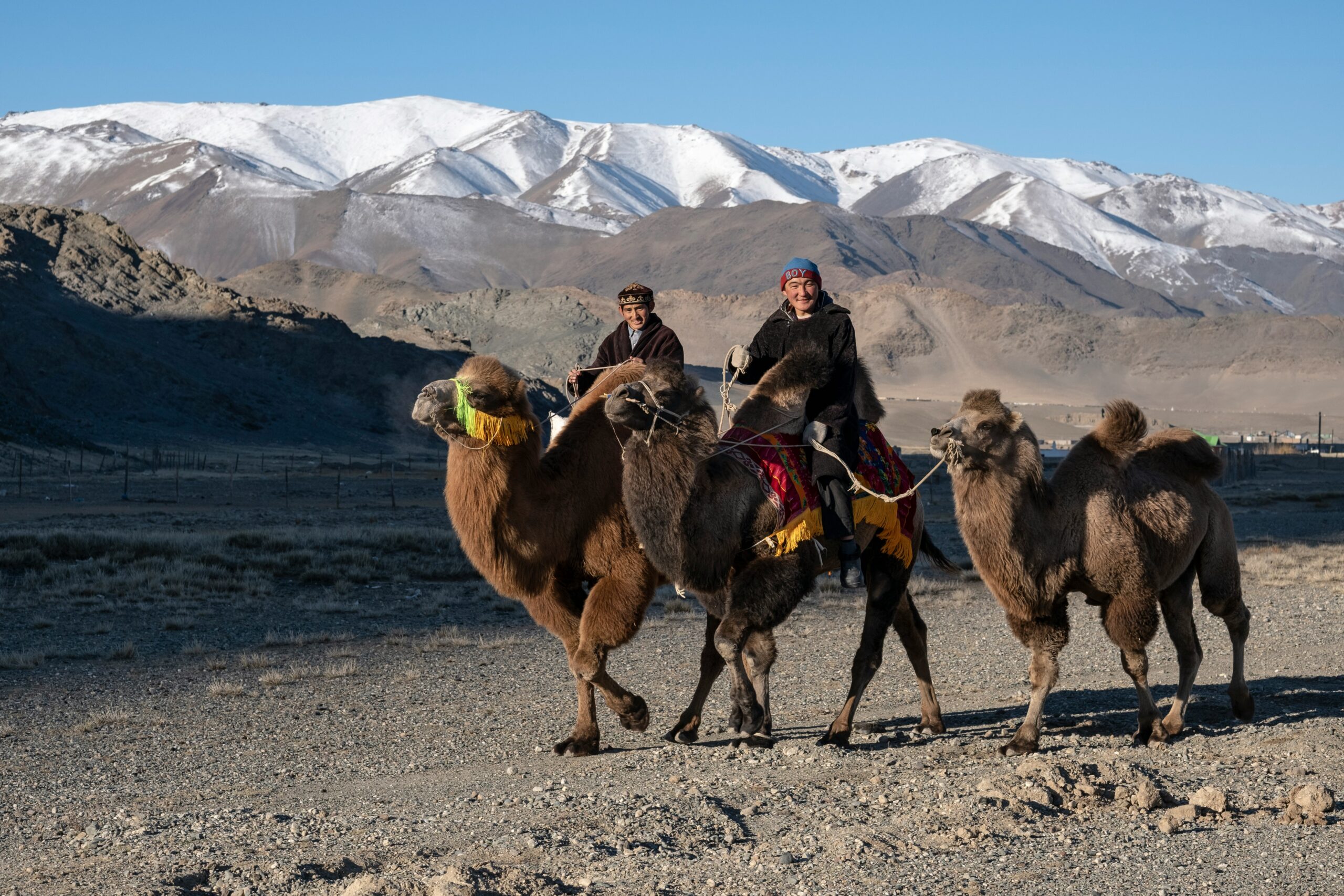 Meeting nomads on a Mongolia self-drive tour