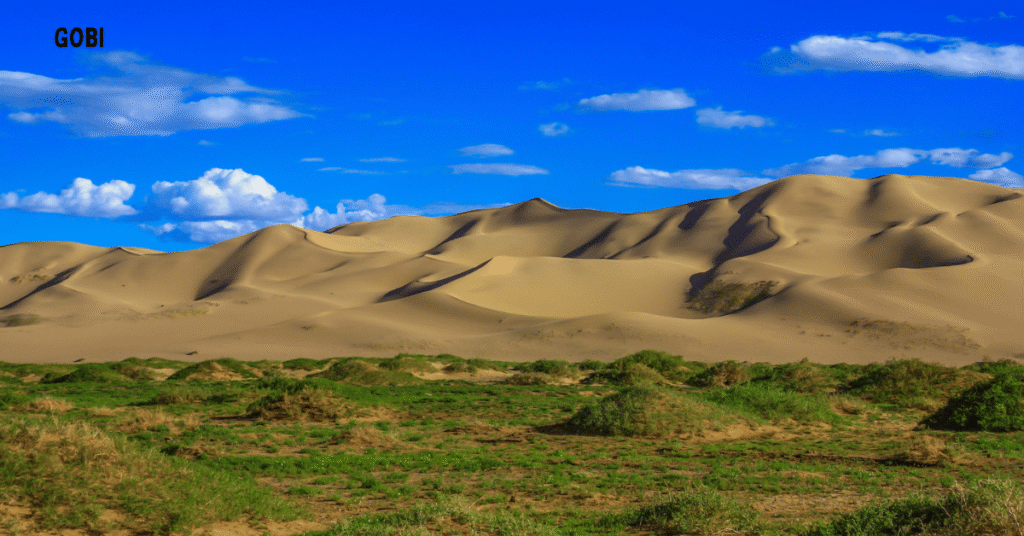 Gobi Desert