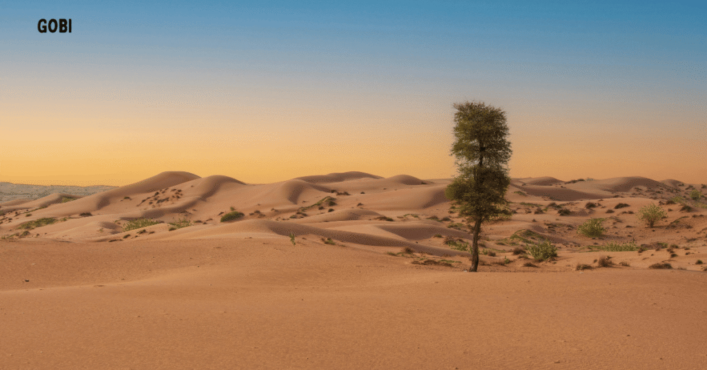 Best Time To Visit Gobi Desert
