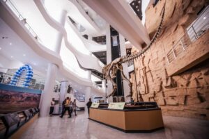 Gobi museum dinosaur fossils