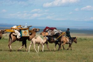 Gobi home to strong Mongolians