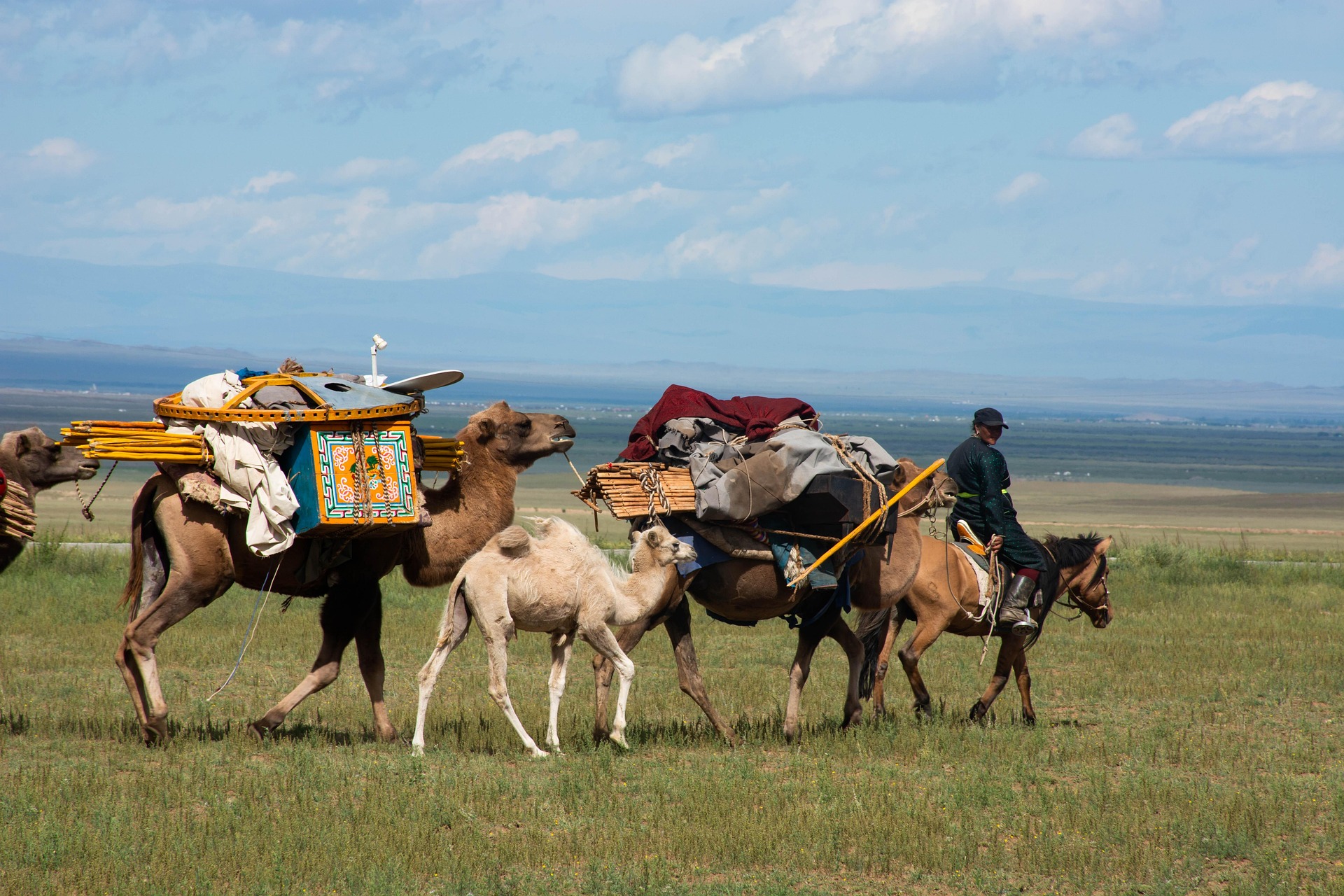 Gobi home to strong Mongolians
